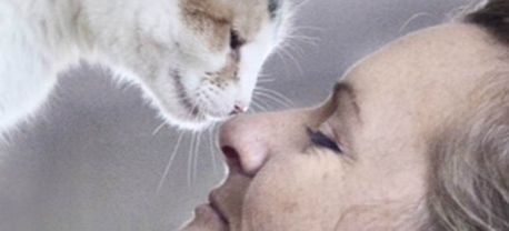 Stacy communicating with a cat