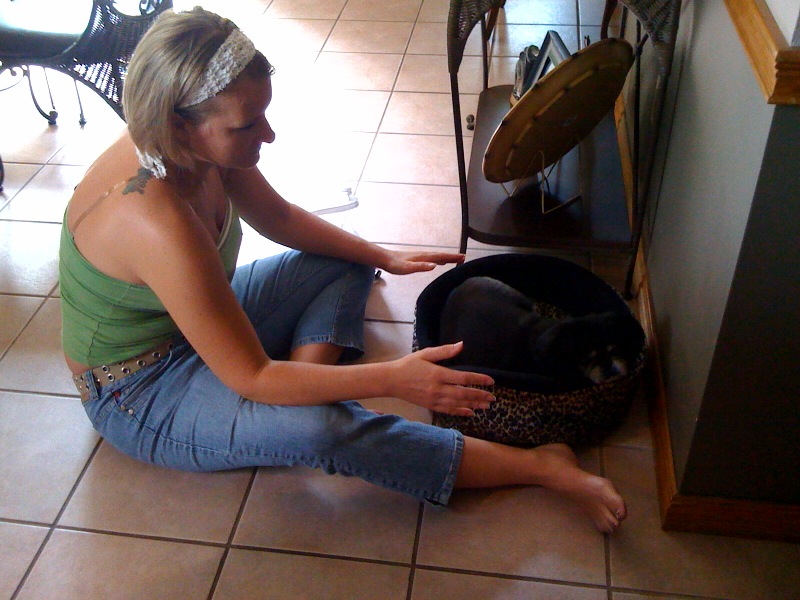 Stacy doing energy work on a four legged friend