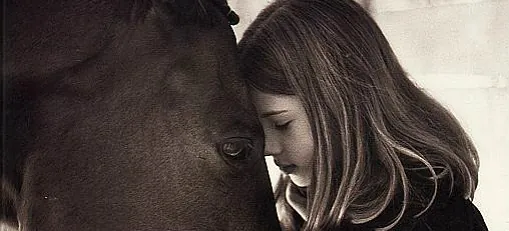 Animal Communication